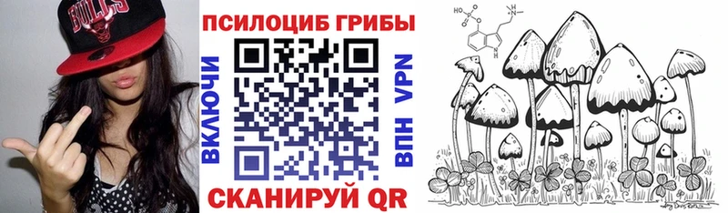 Псилоцибиновые грибы MAGIC MUSHROOMS  где купить наркоту  Волхов 